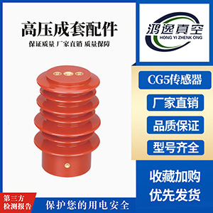 CG5傳感器